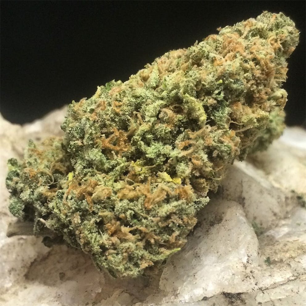 photos-of-apollo-11-weed-strain-buds-leafly