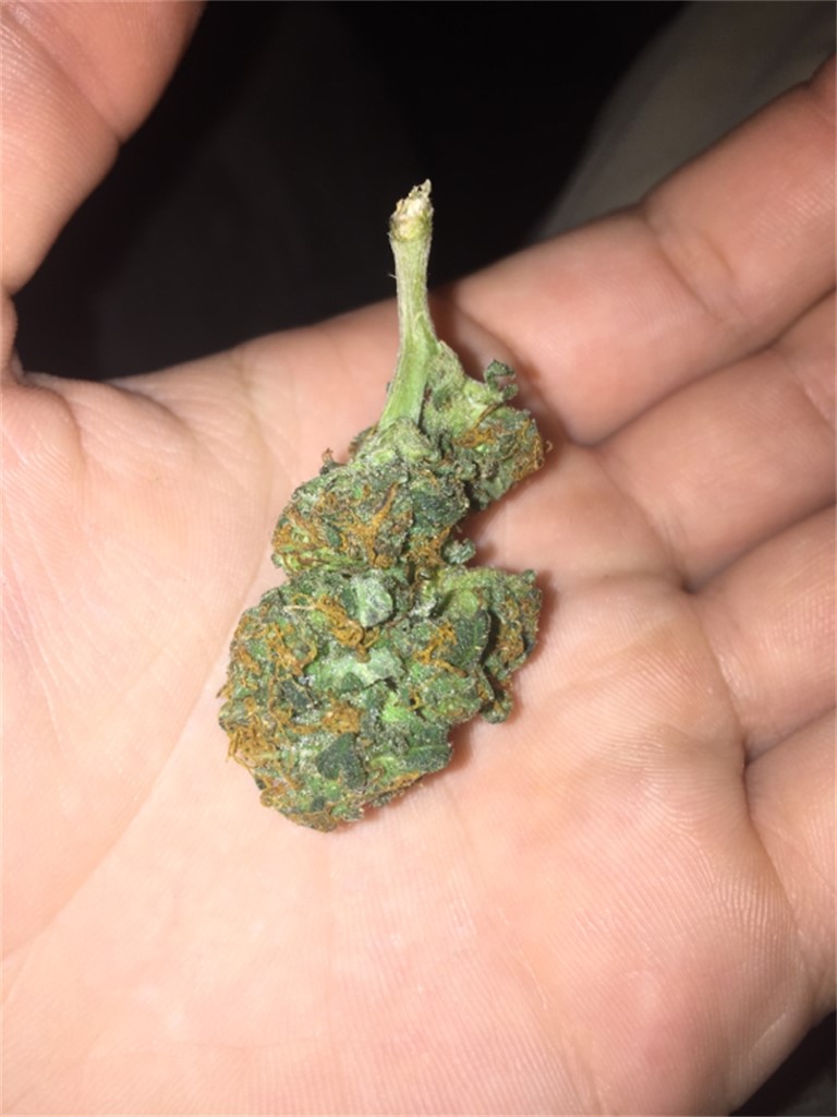 Apollo 11 Marijuana Strain Information Leafly