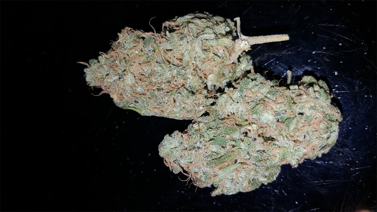 Apollo 13 Marijuana Strain Information Leafly
