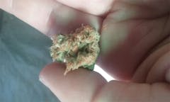 User uploaded image of Appalachia