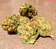 User uploaded image of Appalachia