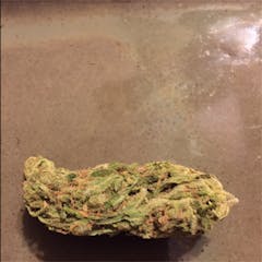 User uploaded image of Appalachia