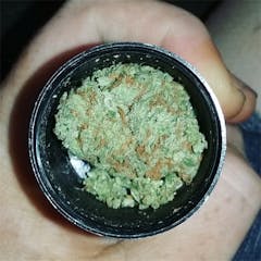 User uploaded image of Appalachia