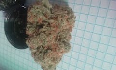 User uploaded image of Appalachia