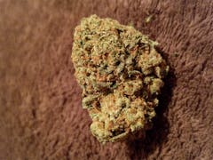 User uploaded image of Apple Jack