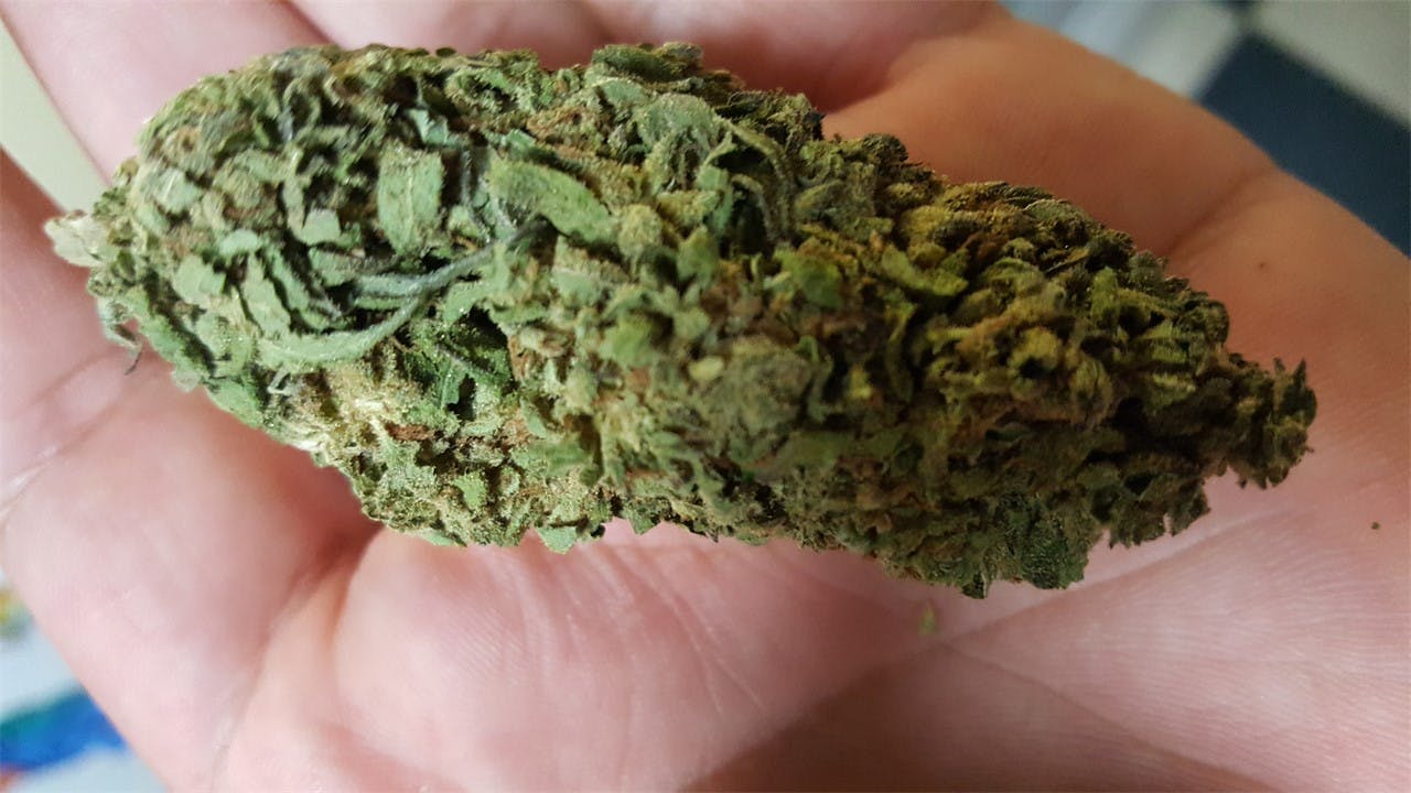 Apple Kush Weed Strain Information Leafly