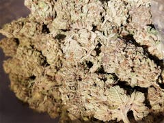 User uploaded image of Appleberry