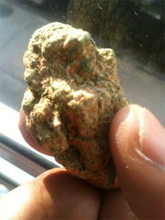 User uploaded image of Arabian Gold