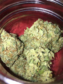 User uploaded image of Arctic Sun