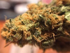 User uploaded image of ArcticBlue