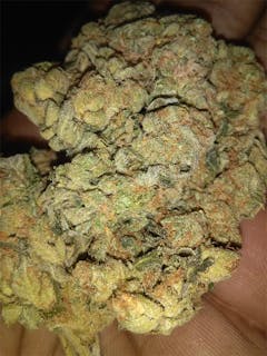 User uploaded image of ArcticBlue