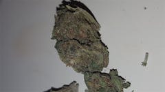 User uploaded image of ArcticBlue