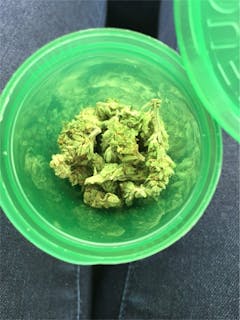 User uploaded image of Area 51