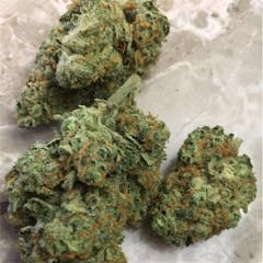 User uploaded image of Area 51