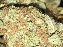 User uploaded image of Strawberry Haze