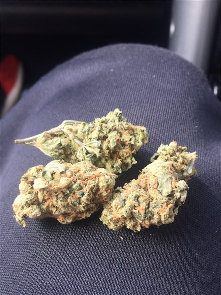 Strawberry Haze aka Arjan's Strawberry Haze Marijuana Strain