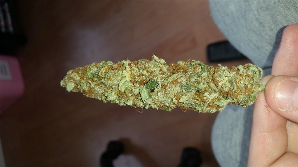 Armageddon Weed Strain Information Leafly