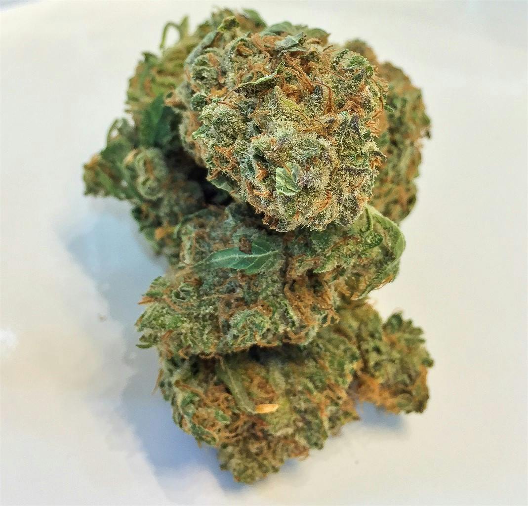 Ash Weed Strain Information Leafly