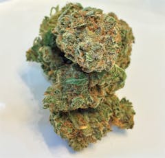 User uploaded image of Ash