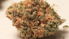 User uploaded image of Asian Fantasy