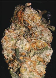 User uploaded image of Asian Fantasy