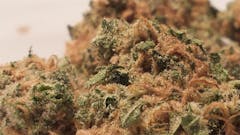 User uploaded image of Asian Fantasy