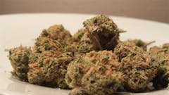 User uploaded image of Asian Fantasy