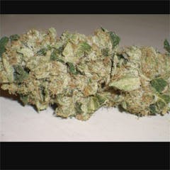 User uploaded image of Aspen OG
