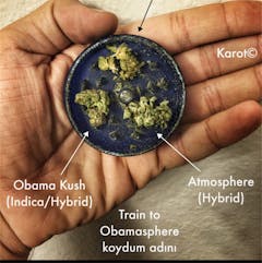 User uploaded image of Atmosphere