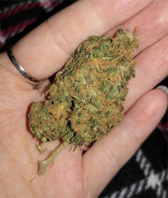 User uploaded image of Atomic Goat