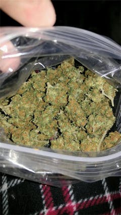 User uploaded image of Atomic Goat