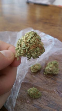 User uploaded image of Atomic Northern Lights