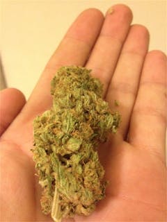 User uploaded image of Atomic Northern Lights