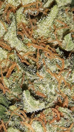 User uploaded image of Atomical Haze