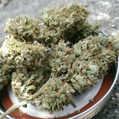 User uploaded image of Avi-Dekel