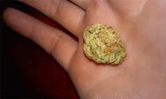 User uploaded image of Avi-Dekel