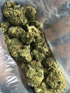 User uploaded image of Avi