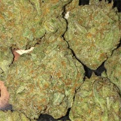 User uploaded image of Ayahuasca Purple