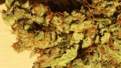 User uploaded image of B4