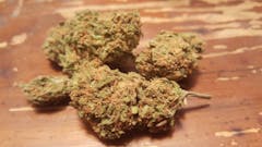 User uploaded image of Banana Diesel