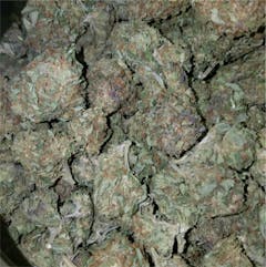 User uploaded image of Banana Kush