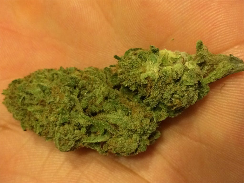 Photos of Banana Kush Weed Strain Buds Leafly