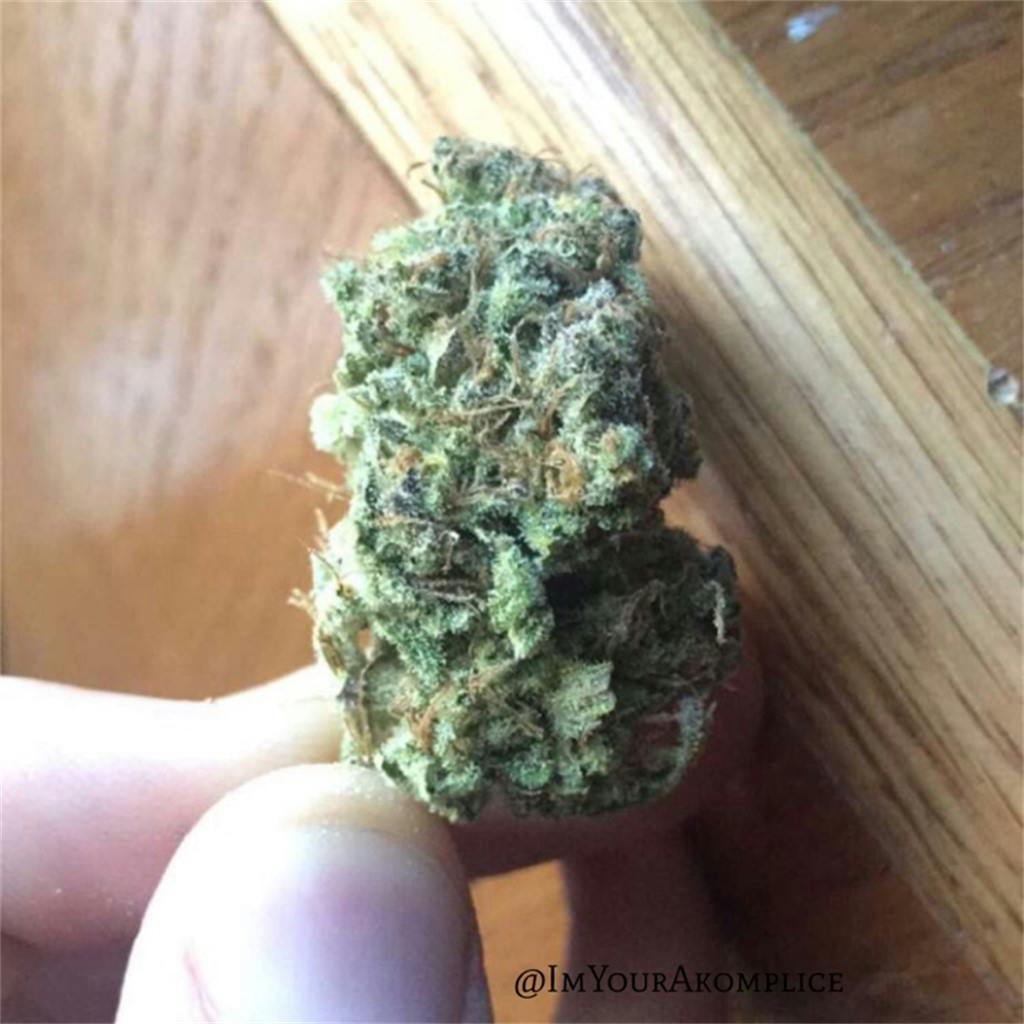 Photos of Banana Kush Weed Strain Buds Leafly