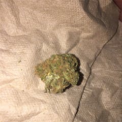 User uploaded image of Banana Kush