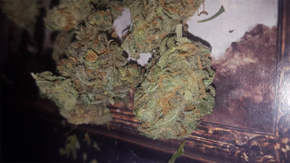Photos of Banana Kush Weed Strain Buds Leafly