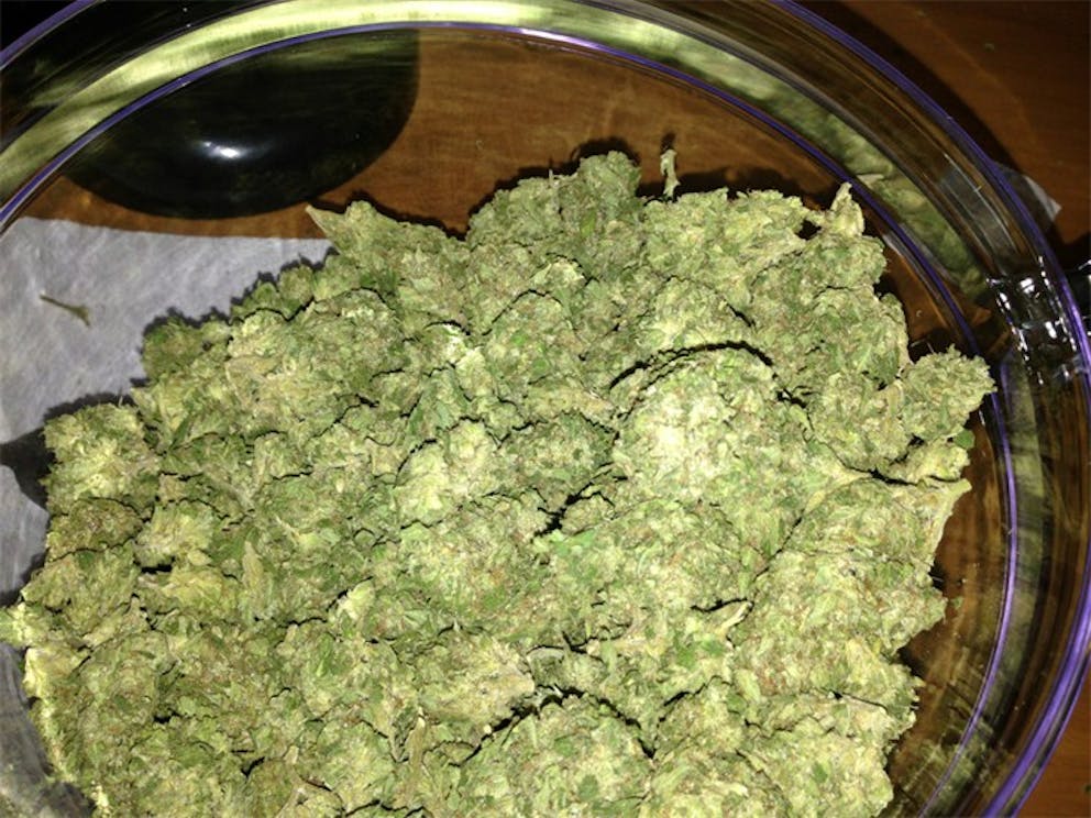 Photos of Banana OG Weed Strain Buds Leafly