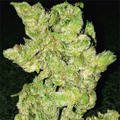 User uploaded image of Banana OG