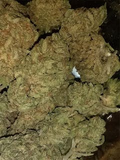 User uploaded image of Banana OG