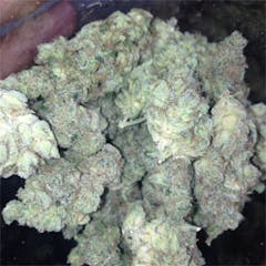 User uploaded image of Banana OG