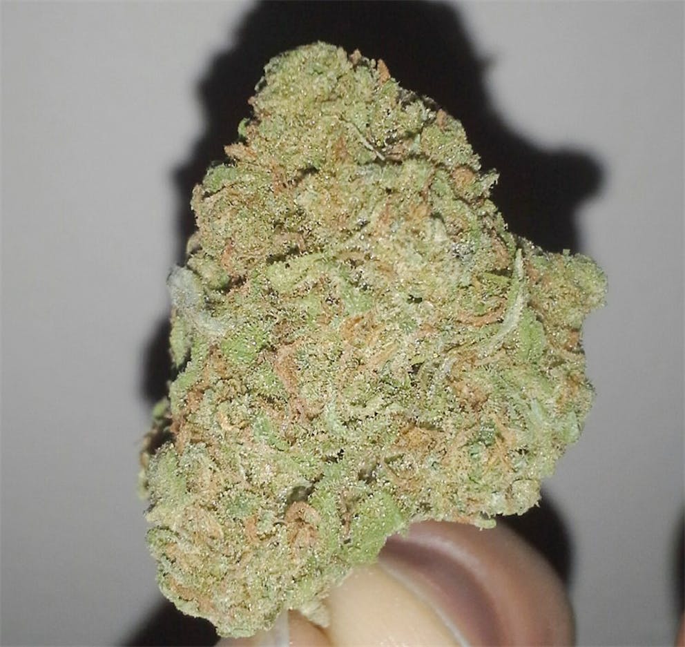 Photos of Banana OG Weed Strain Buds Leafly
